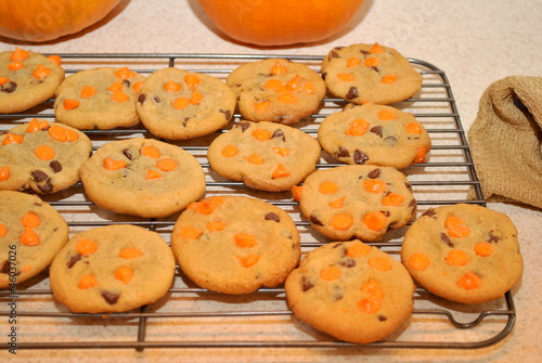 Photo: Baking Homemade Pumpkin Cookies with Chocolate Chips Baking Homemade Pumpkin Cookies with Chocolate Chips