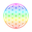 Chakra Farben Blume des Lebens