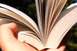 das offene buch