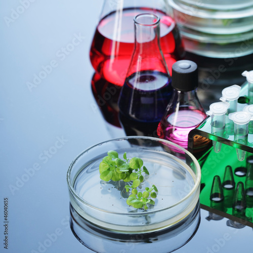 Photo: lab lab
