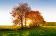 Sonnenaufgang im Herbst