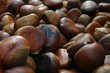 castagne arrosto