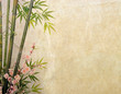 bamboo on old grunge paper texture background