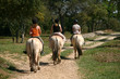 Randonnée à cheval - Tourisme nature