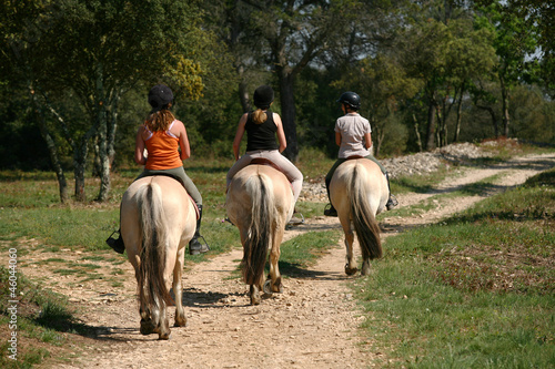 Photo: Randonnée à cheval - Tourisme nature Randonnée à cheval - Tourisme nature