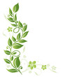 Frühling, frame, Blätter, Laub, Ranke, Grüntöne