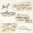 farming, rural landscape