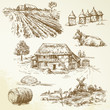 rural landscape, agriculture, farming