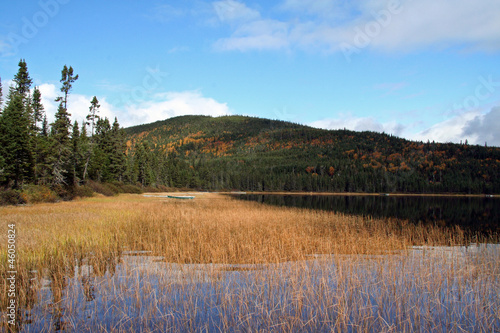 Photo: Calme en nature Calme en nature