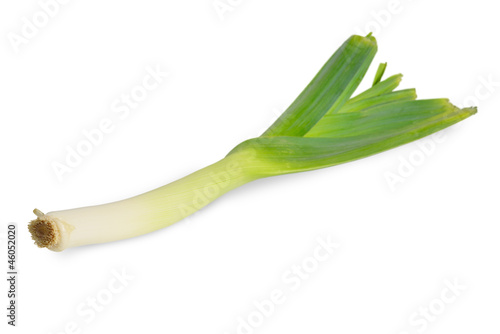 Photo: Fresh leek Fresh leek