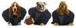 football team