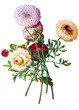 flower illustration