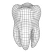 Illustration: Tooth Tooth