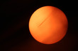 Photo: Fly into the sun Fly into the sun