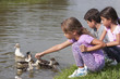 Photo: Little Girl at the Duck Pond Little Girl at the Duck Pond