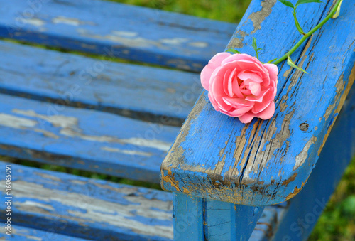 Photo: Sommerromanze Sommerromanze