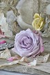 Vintage rose