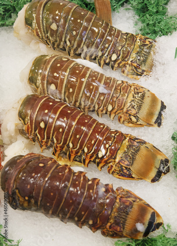 Photo: Fresh Lobsters on Ice Fresh Lobsters on Ice