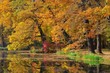 Eiche im Herbst - Oak tree in fall 03