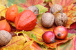 Herbstlaub mit Zieräpfeln und Nüssen