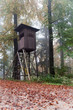 Hochsitz im Herbstwald
