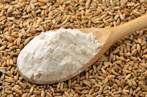 Photo: Wheat flour and grains Wheat flour and grains