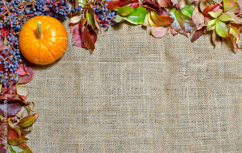 Photo: Autumn leaves Autumn leaves