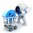 Robot and cart e-shop
