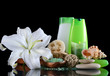 Photo: Set for spa-procedures On black background Set for spa-procedures On black background