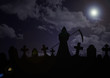 cemetery - skeleton
