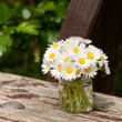 Foto: Gänseblümchen in kleiner Glasvase, Muttertag Gänseblümchen in kleiner Glasvase, Muttertag