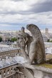 I Gargoyle di Notre Dame - Parigi