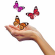 Hands releasing butterflies