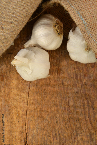 Photo: ripe garlic ripe garlic