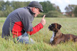 Photo: Hundetraining Hundetraining