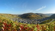 Weinberge