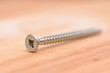 steel  screw