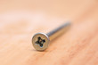 steel  screw