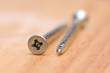 steel  screw