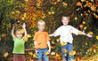 Kinderabenteuer Laubwald im Herbst