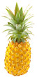 ananas Victoria, île de la Réunion