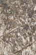 Texture of Stone Wallpaper