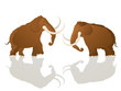 Charging bulls