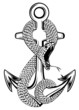 snake and anchor