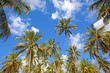 Photo: Mafia Island Mafia Island