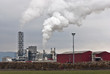 Wood processing factory pollution