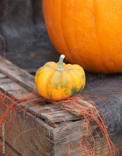 Photo: Cute pumpkin Cute pumpkin