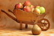 Photo: Apples and Pear Apples and Pear