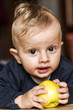 baby eating fruit