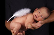 Little Angel in Dad's hands